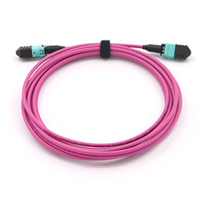 Patchcords y pigtails