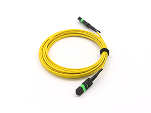 Patchcords y pigtails